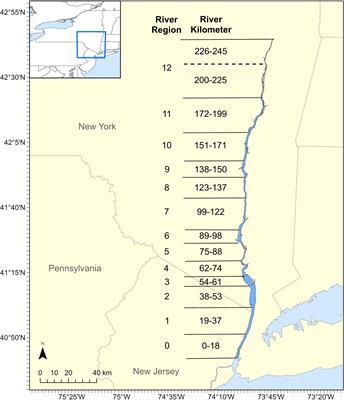 Evaluating effects of changing sampling protocol for a long-term ichthyoplankton monitoring program
